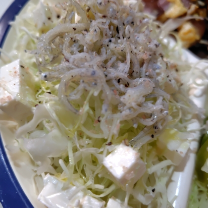 千切りキャベツとしらすのサラダ