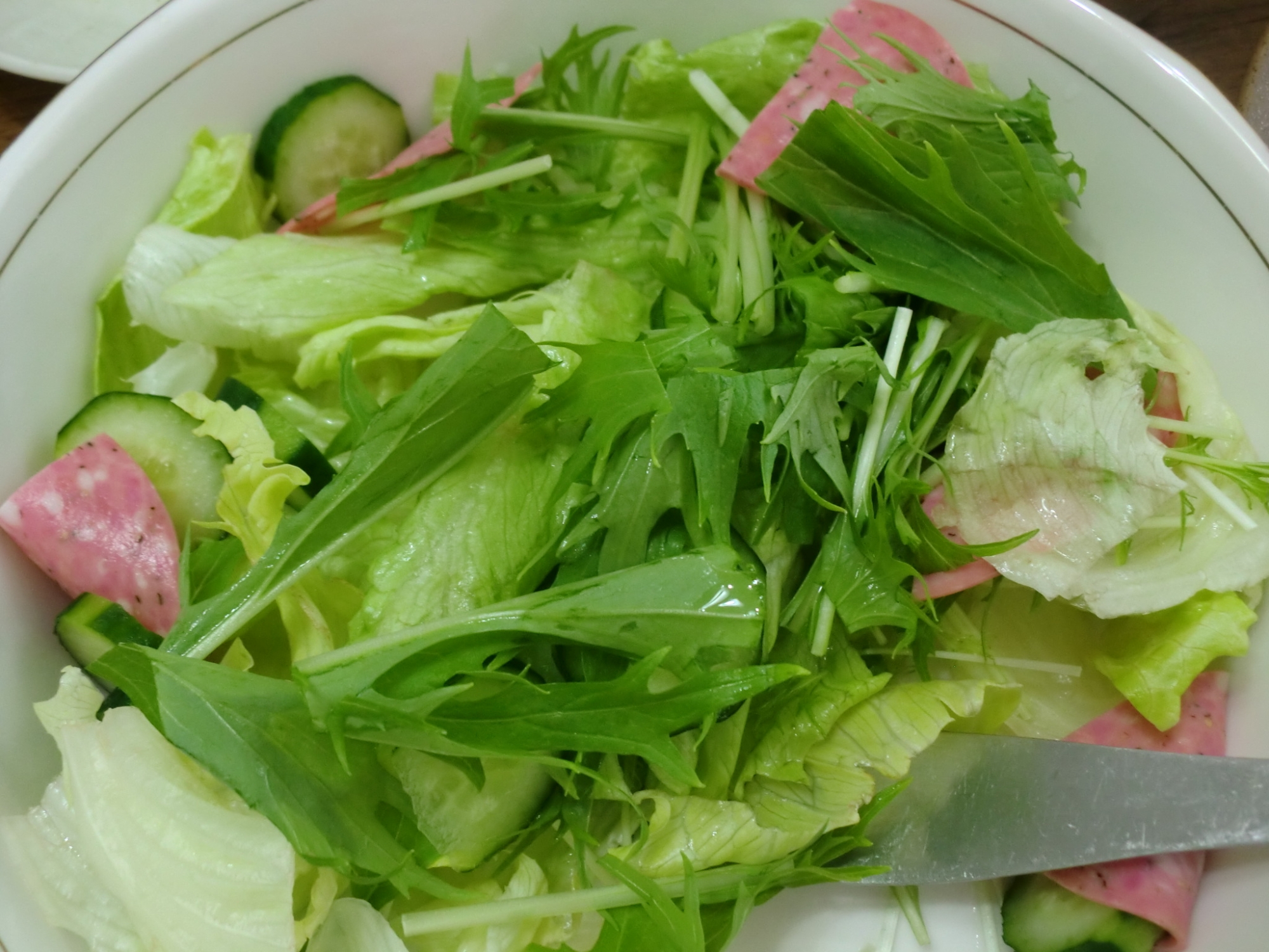 マジックソルトで♪グリーンリーフとサラミのサラダ
