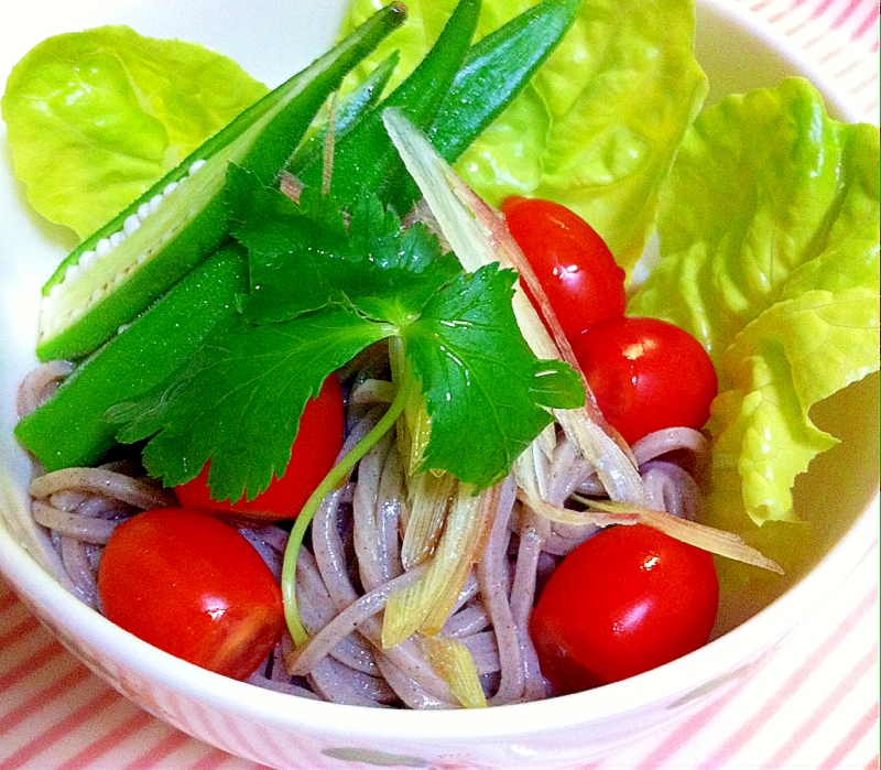 夏野菜で   冷たい蕎麦サラダ