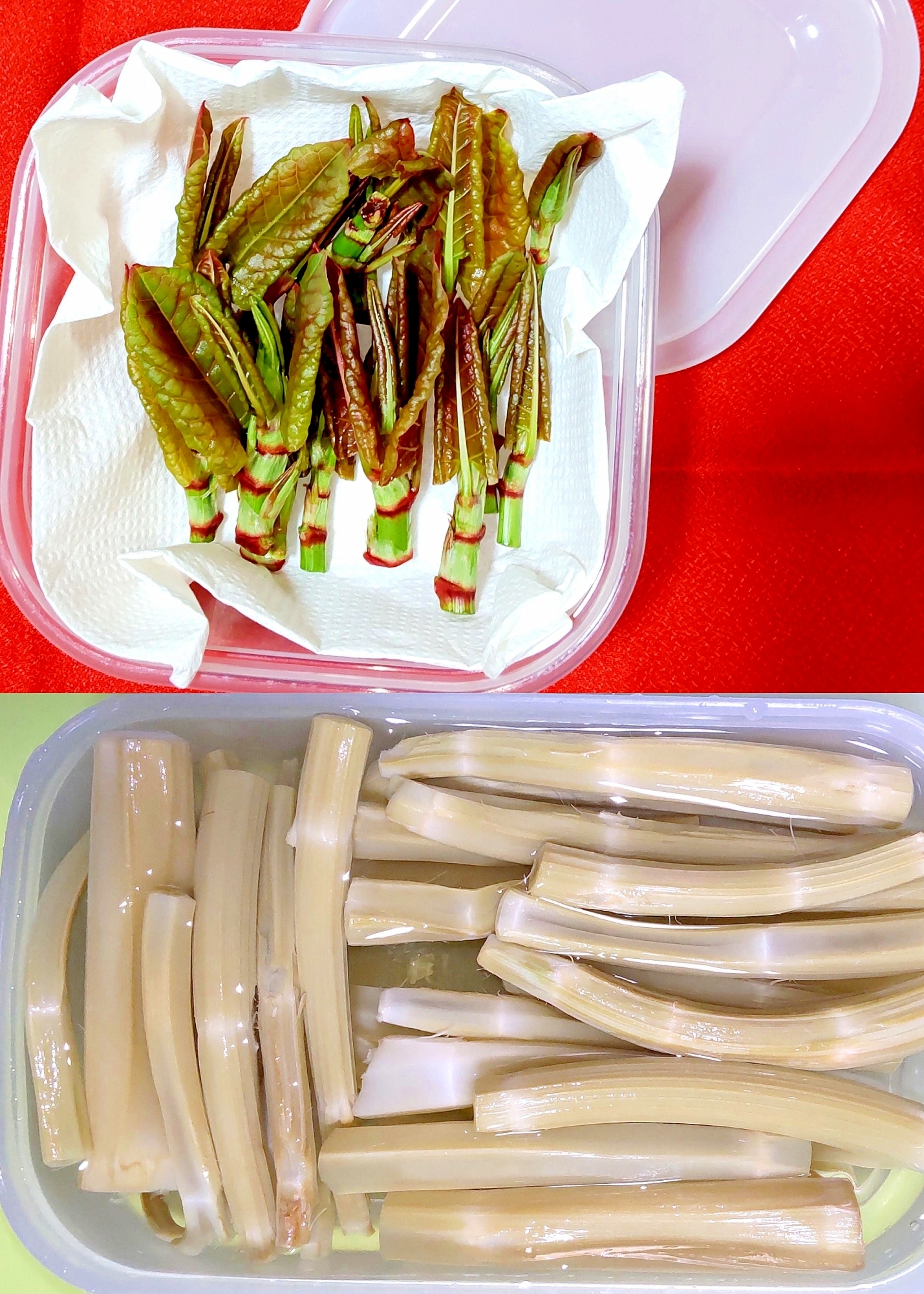 イタドリ 虎杖 の下処理 レシピ 作り方 By お料理は楽しく元気の素 楽天レシピ イタドリ 虎杖 の下処理 レシピ 作り方 By お料理は楽しく元気の素 楽天レシピ