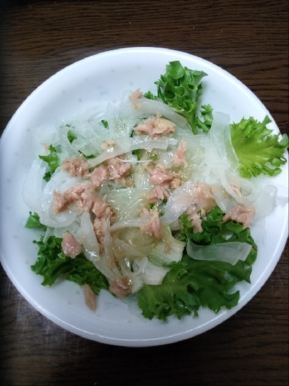 レタスと新玉ねぎ☘️ツナサラダ