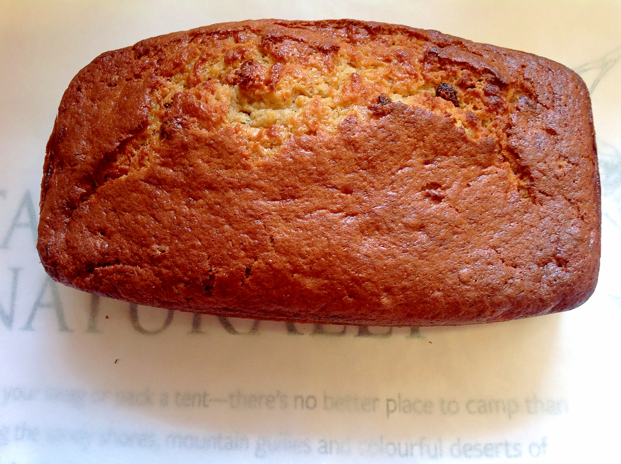 レーズンとオレンジピールのパウンドケーキ レシピ 作り方 By Findus 楽天レシピ レーズンとオレンジピールのパウンドケーキ レシピ 作り方 By Findus 楽天レシピ