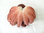 フードドライヤー ドラミニ で干しタコの作り方 レシピ 作り方 By 楽天出店店舗 ラボネクト株式会社 楽天レシピ フードドライヤー ドラミニ で干しタコの作り方 レシピ 作り方 By 楽天出店店舗 ラボネクト株式会社 楽天レシピ