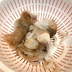 ミミイカのにんにく醤油炒め かわいいイカ レシピ 作り方 By だだちゃまめごはん 楽天レシピ ミミイカのにんにく醤油炒め かわいいイカ レシピ 作り方 By だだちゃまめごはん 楽天レシピ