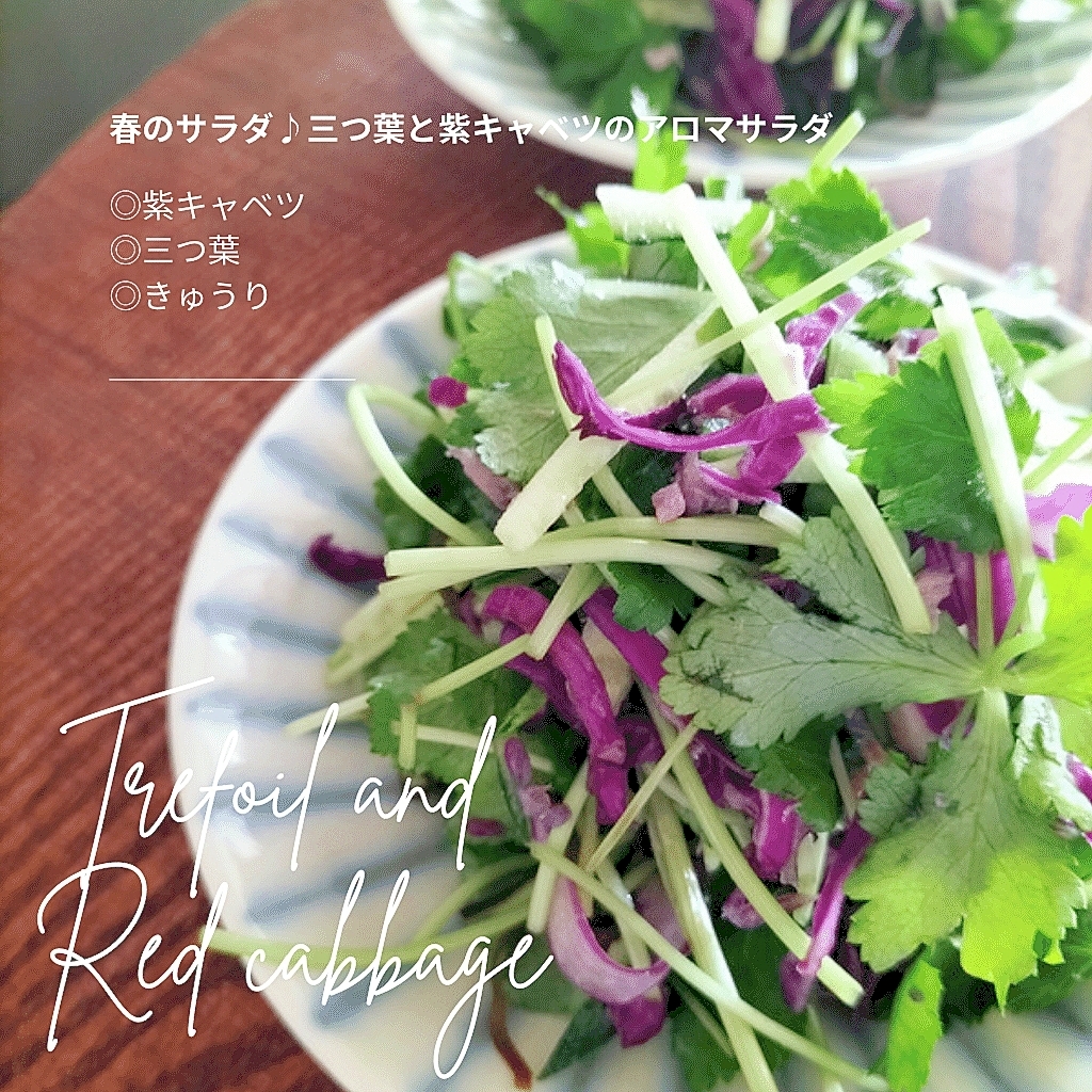 春のサラダ 三つ葉と紫キャベツのサラダ レシピ 作り方 By Ciciino 楽天レシピ