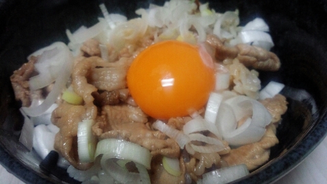 さっぱりネギポン酢牛丼