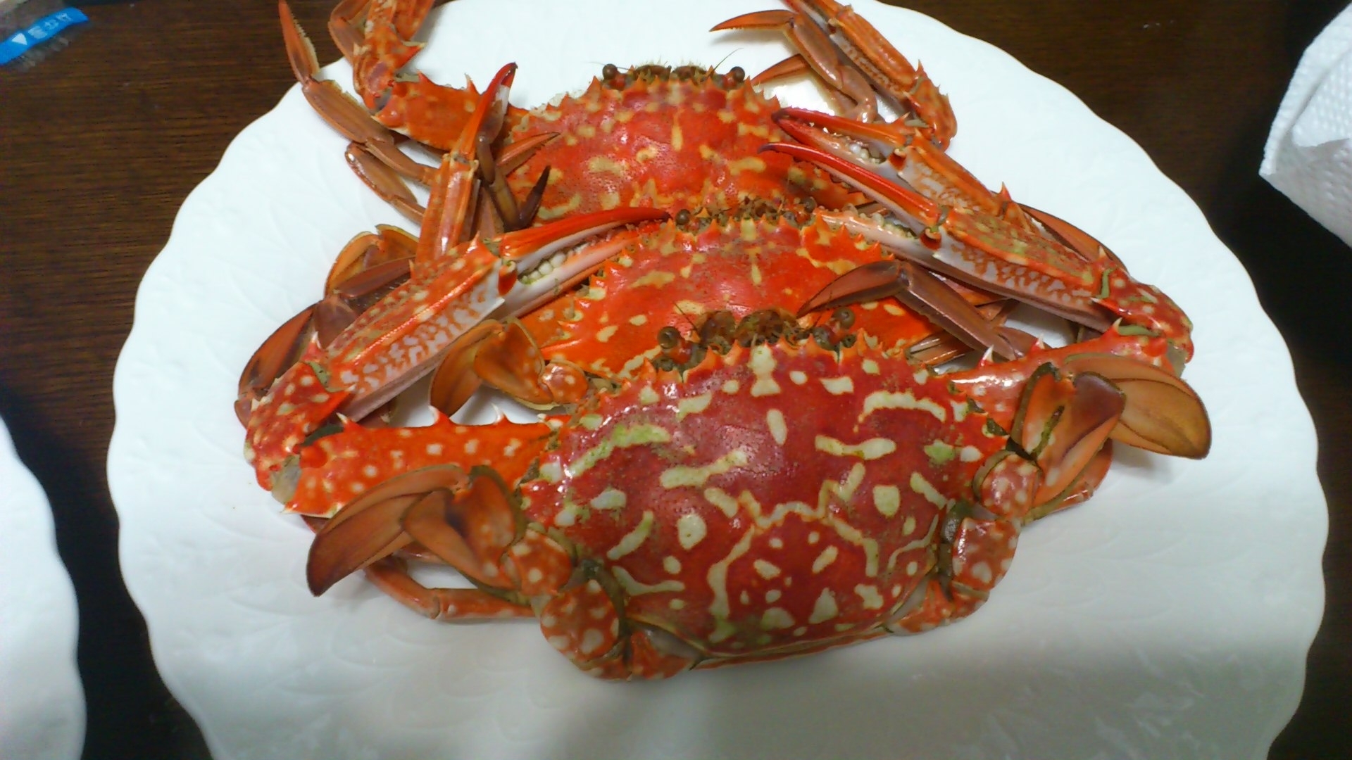 釣り魚料理 茹でタイワンガザミ レシピ 作り方 By 釣りシン 楽天レシピ 釣り魚料理 茹でタイワンガザミ レシピ 作り方 By 釣りシン 楽天レシピ