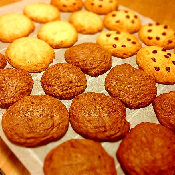 甘さ控えめ さくさくクッキー レシピ 作り方 By Keimiohiro 楽天レシピ 甘さ控えめ さくさくクッキー レシピ 作り方 By Keimiohiro 楽天レシピ