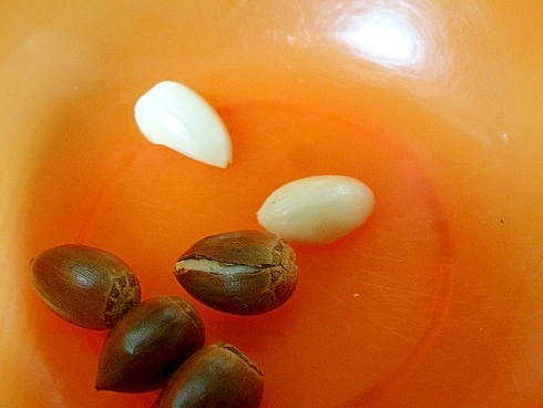 うちのおやつ しいの実 レシピ 作り方 By おいしんぼ 楽天レシピ うちのおやつ しいの実 レシピ 作り方 By おいしんぼ 楽天レシピ