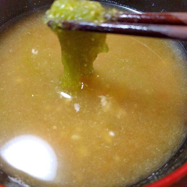 簡単 磯の香りが美味しい いぎす のお味噌汁 レシピ 作り方 By 姉さん 楽天レシピ 簡単 磯の香りが美味しい いぎす のお味噌汁 レシピ 作り方 By 姉さん 楽天レシピ