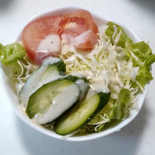 サラダ菜とキャベツとトマトと胡瓜のサラダ