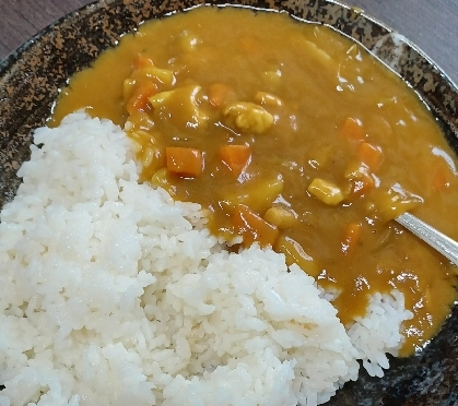 鶏ももと新たまねぎの具ごろごろカレー