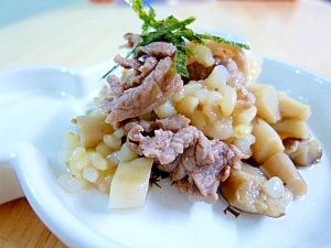 犬用 牛肉としめじの混ぜご飯 レシピ 作り方 By Jp S ビートル 楽天レシピ 犬用 牛肉としめじの混ぜご飯 レシピ 作り方 By Jp S ビートル 楽天レシピ