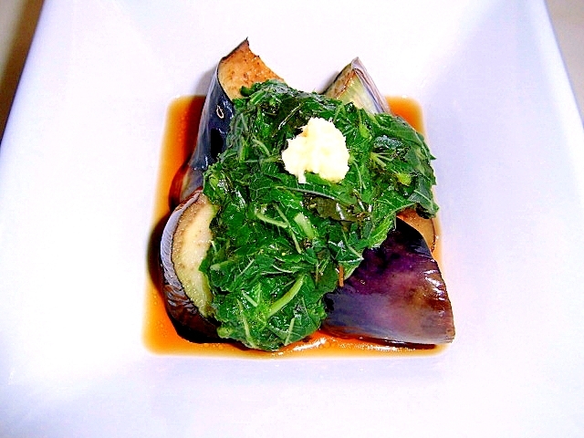 栄養満点 モロヘイヤのおかず デイリシャス 楽天レシピ