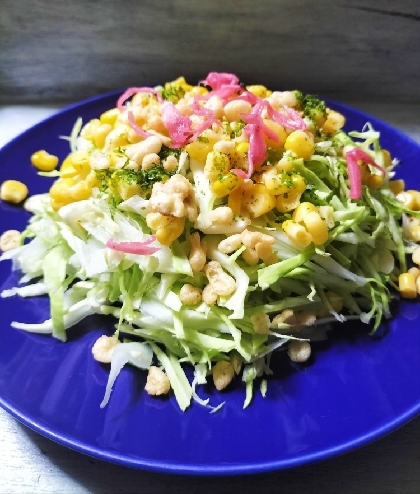 きょうはこちら♬お好み焼き風だけど生野菜だからしっかり噛んで爆食い予防にいいですね(*´ω`*)もりもりキャベツ食べました❣これで明日は美肌間違いない✨感❦謝❦