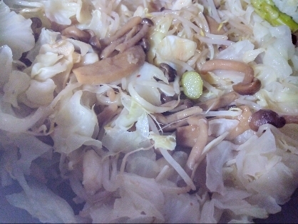 キャベツ豚肉で簡単‎♫*回鍋肉風✧˖°