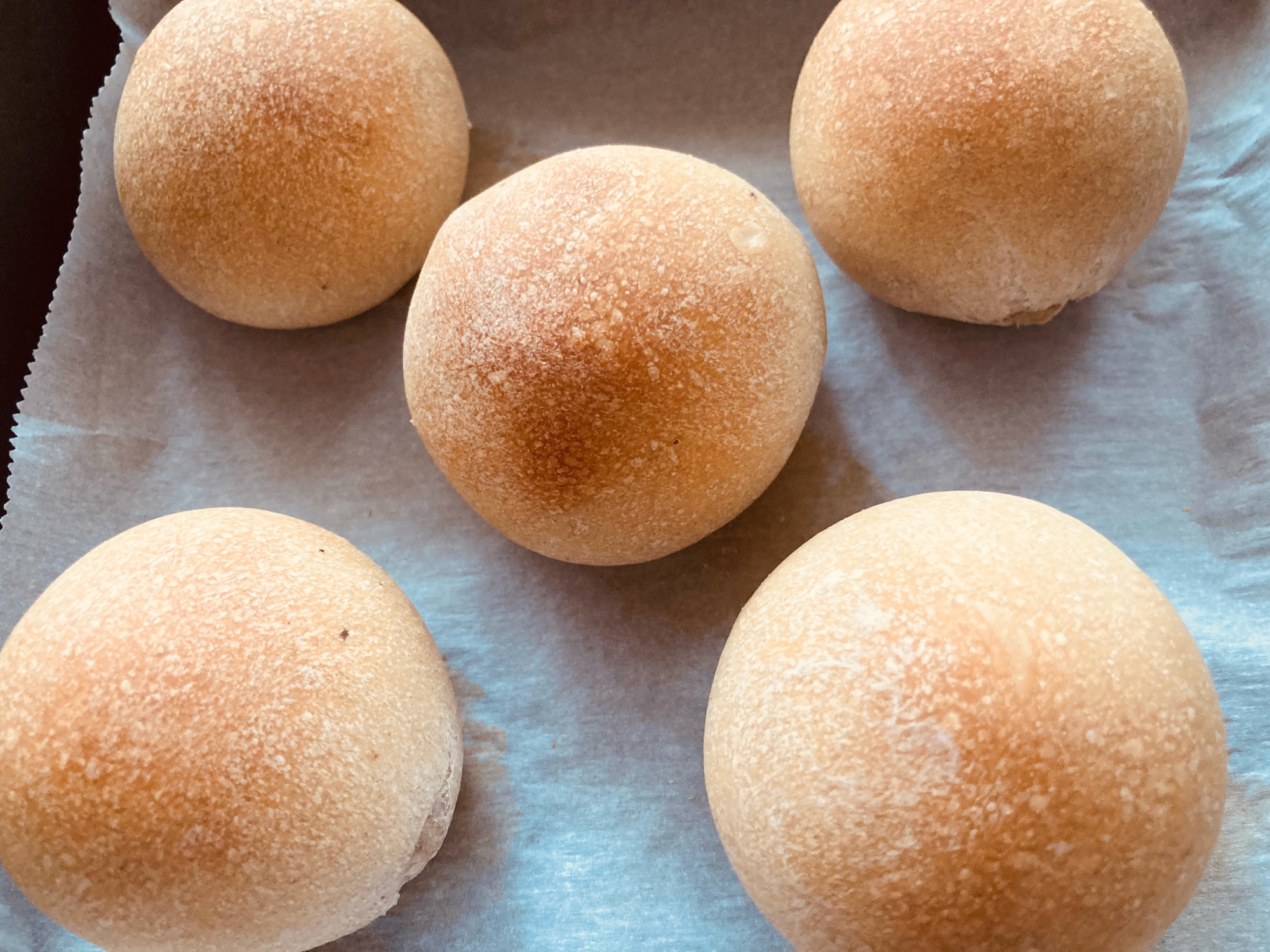 乳製品・卵不使用★自家製酵母の丸パン(ライ麦入り)