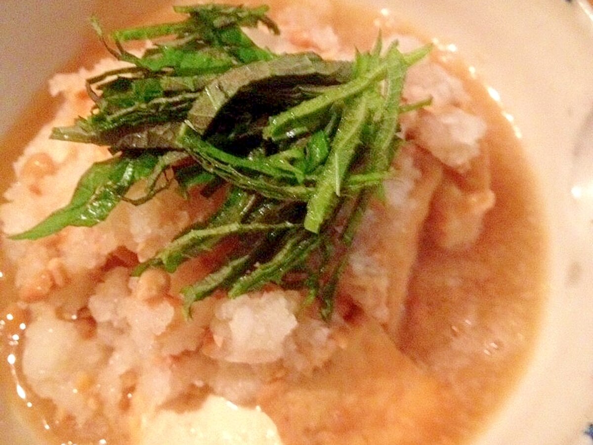 厚揚げの納豆おろし煮 大葉添え レシピ 作り方 By Macman3737 楽天レシピ 厚揚げの納豆おろし煮 大葉添え レシピ 作り方 By Macman3737 楽天レシピ