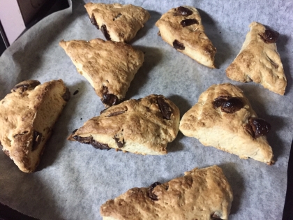 子供がチョコ好きでチョコチャンクにしましたがさっくりしっとりな美味しいスコーンになりました。