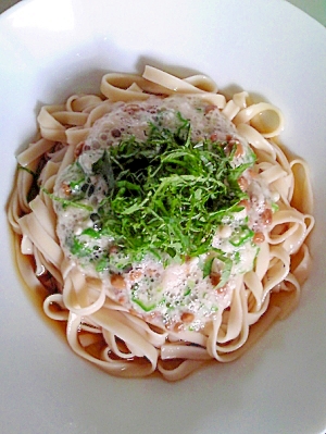 夏のスタミナ源・ネバネバでつくるうどんメニュー