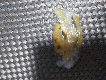 土生姜の皮の冷凍保存