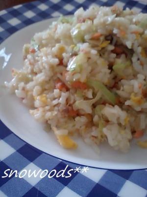 焼鮭と長ネギ たまごの炒飯 レシピ 作り方 By Snowoods 楽天レシピ 焼鮭と長ネギ たまごの炒飯 レシピ 作り方 By Snowoods 楽天レシピ