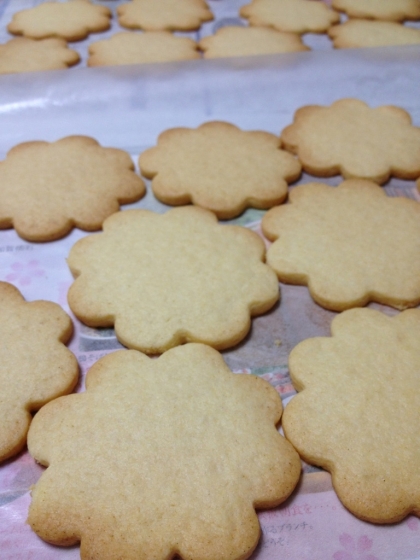 クッキー作りに初めてホットケーキミックスを使いました☆サクサクで美味しかったです(^-^)/