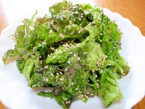 レタスの簡単レシピランキング Top 1位 位 楽天レシピ