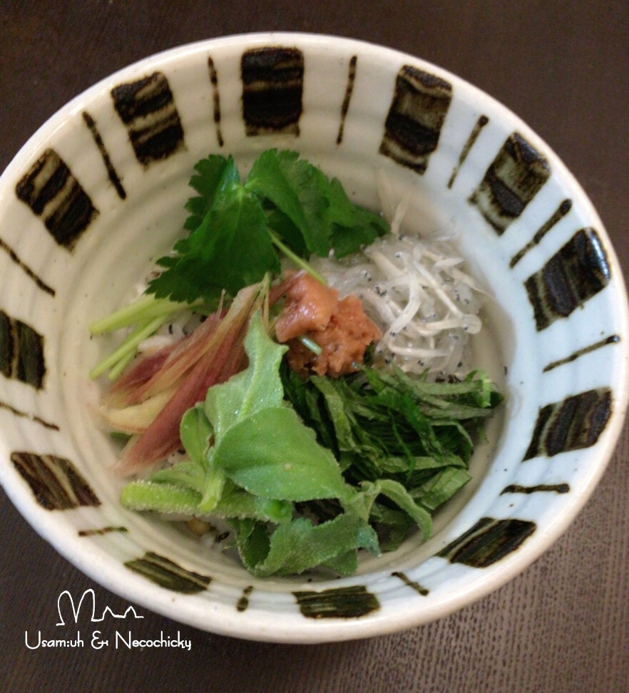 減塩 薬味の風味が美味しい 釜揚げしらす丼 レシピ 作り方 By うさむー ねこちき 楽天レシピ 減塩 薬味の風味が美味しい 釜揚げしらす丼 レシピ 作り方 By うさむー ねこちき 楽天レシピ