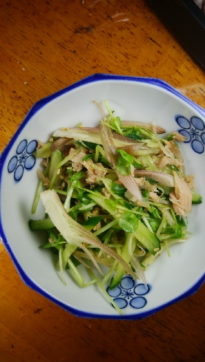 水菜の代わりに豆苗で作りました。みょうがが美味しいですね。