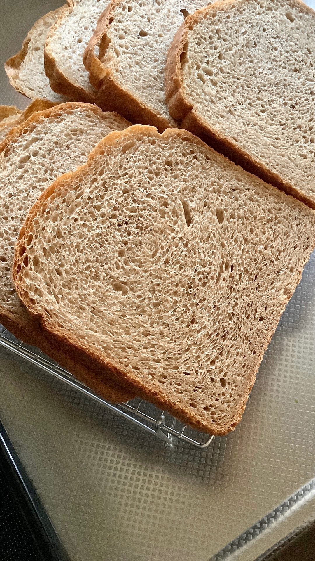 ホームベーカリーで100%全粒粉の湯種食パン