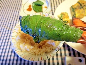 ごはんがすすむ！大葉（シソ）の醤油漬