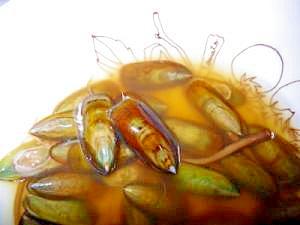 一人暮らしのミドリシャミセンガイの煮つけ レシピ 作り方 By ピヨ採る 大抵 楽天レシピ 一人暮らしのミドリシャミセンガイの煮つけ レシピ 作り方 By ピヨ採る 大抵 楽天レシピ