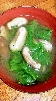 椎茸とワサビ菜のお味噌汁