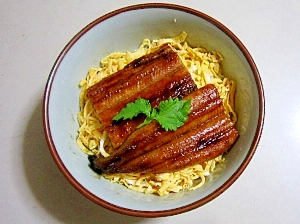 土用丑の日 鰻の日 鰻の錦糸丼