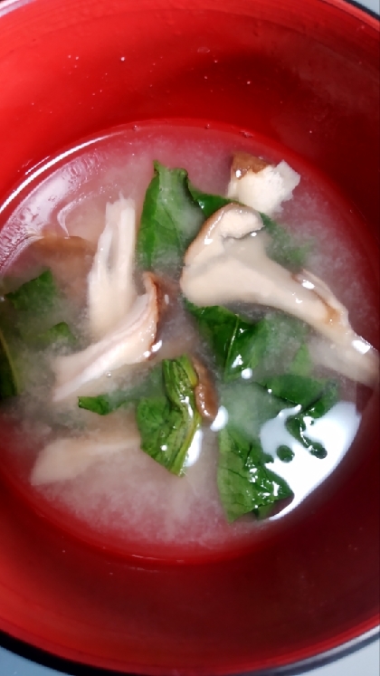 舞茸エリンギ新玉ねぎ小松菜の味噌汁