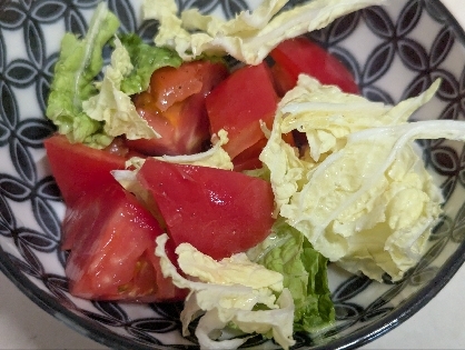 白菜ときゅうりとトマトのサラダ