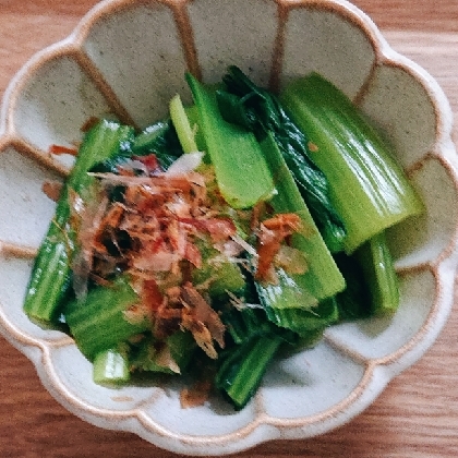 レンジとめんつゆで超簡単！小松菜のおひたし
