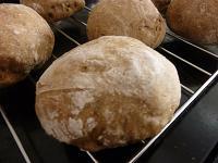 レンジ発酵ですぐできる！はったい粉パン
