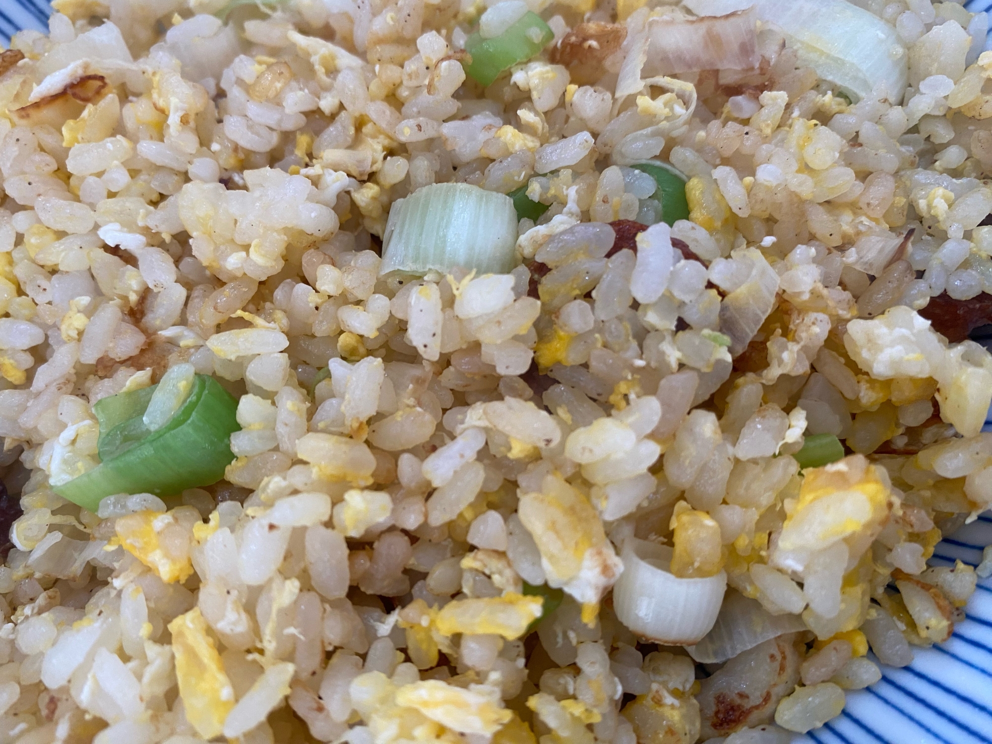 長ネギと卵の炒飯