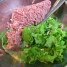 愛犬用ごはん 豚ミンチと豆腐のハンバーグ レシピ 作り方 By ぷ みぃまま 楽天レシピ 愛犬用ごはん 豚ミンチと豆腐のハンバーグ レシピ 作り方 By ぷ みぃまま 楽天レシピ