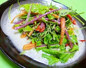 彩り京野菜のフレッシュサラダ和風黒胡麻ドレッシング