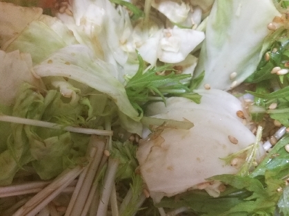 簡単☆キャベツと水菜の温サラダ