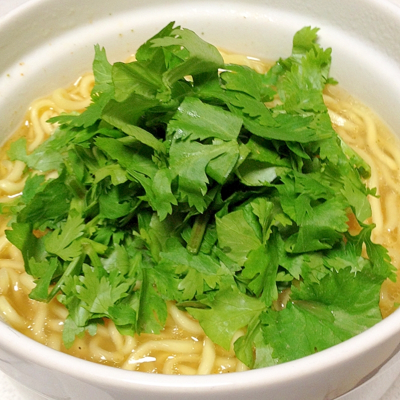 お手軽アジアン麺...パクチーどっさりトムヤム風味