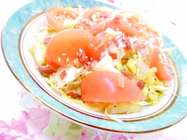 白ワインビネガーde❤茗荷とキャベツのトマトサラダ