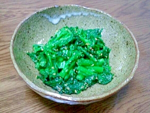 塩麹で作る　青菜のナムル風