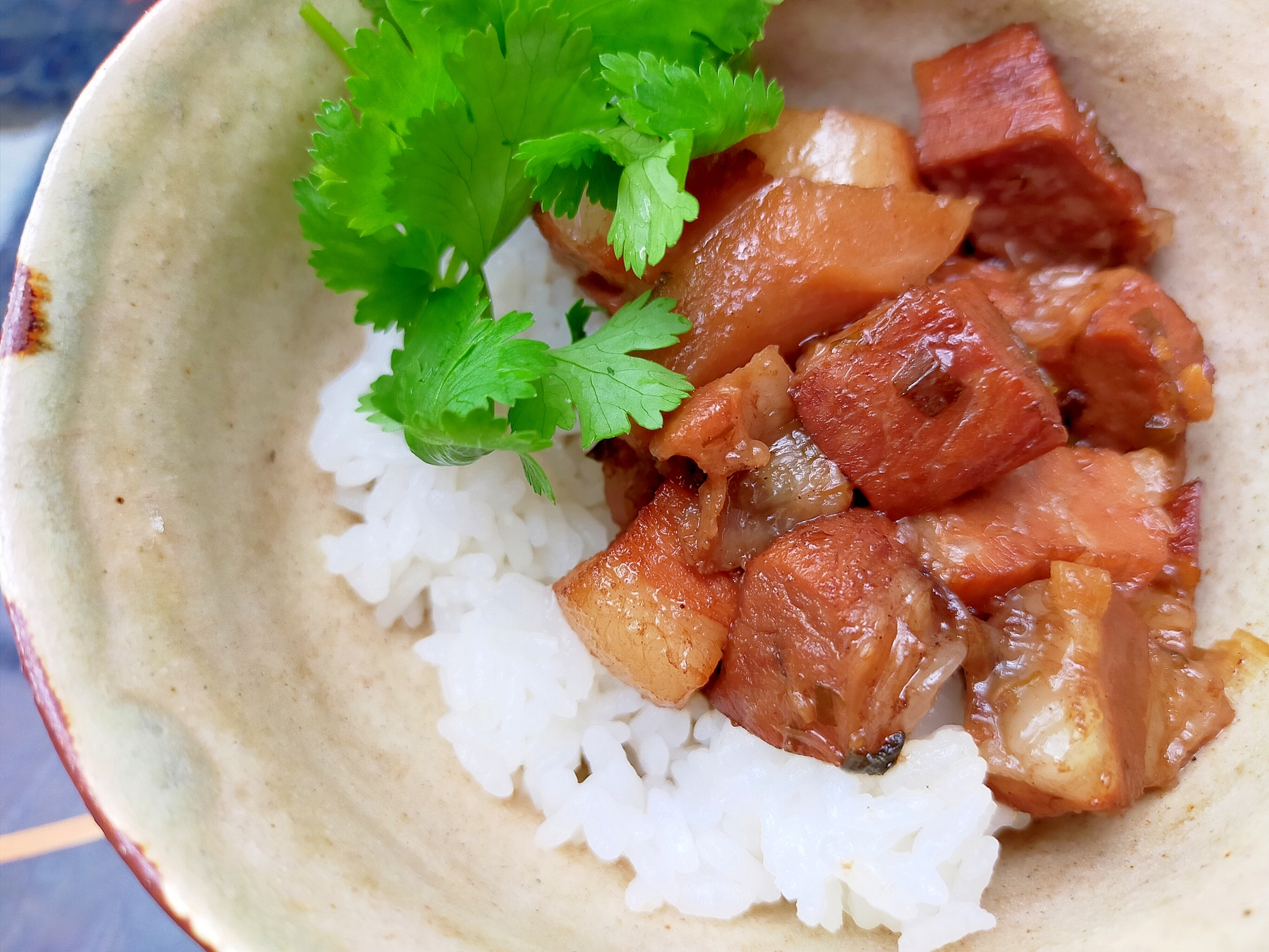 圧力鍋で魯肉飯