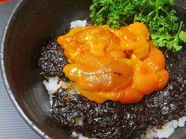 究極の海鮮丼☆　「自家製塩ウニ岩海苔丼」