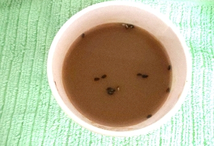 おいしかったです！
ありがとうございます♪