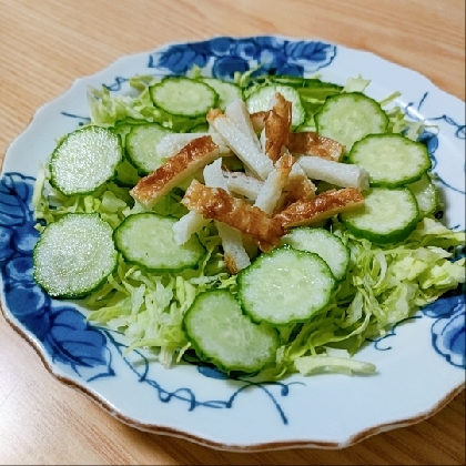 ちくわ入りの野菜サラダ、あるもので美味しく頂きました(*^-^*)